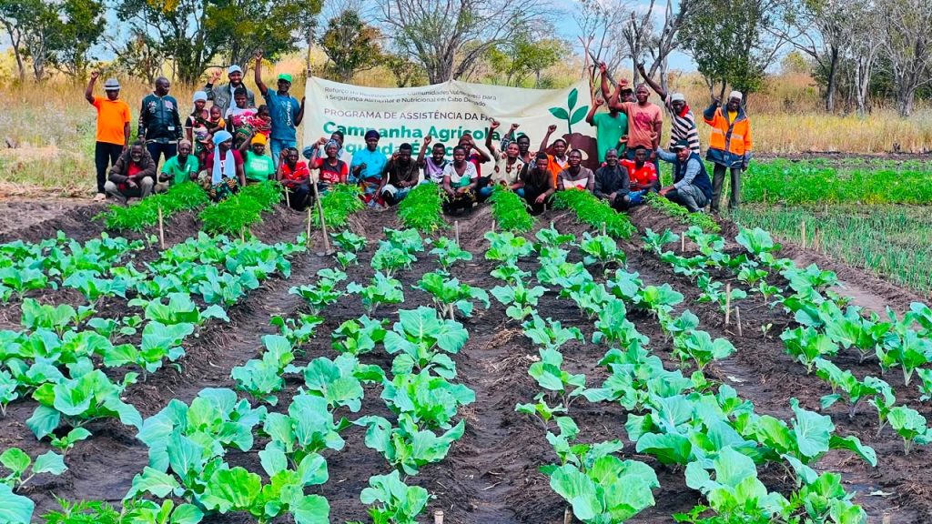 Projecto de Reforço da Resiliência Comunitária para Segurança Alimentar e Nutricional em Cabo Delgado
