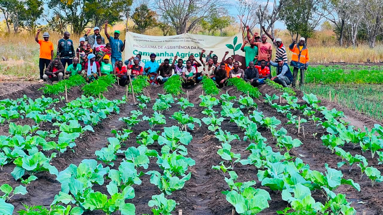 Projecto de Reforço da Resiliência Comunitária para Segurança Alimentar e Nutricional em Cabo Delgado